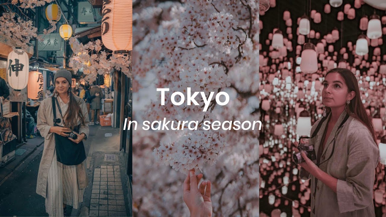 🌸 Cherry blossoms and slow travelling Tokyo