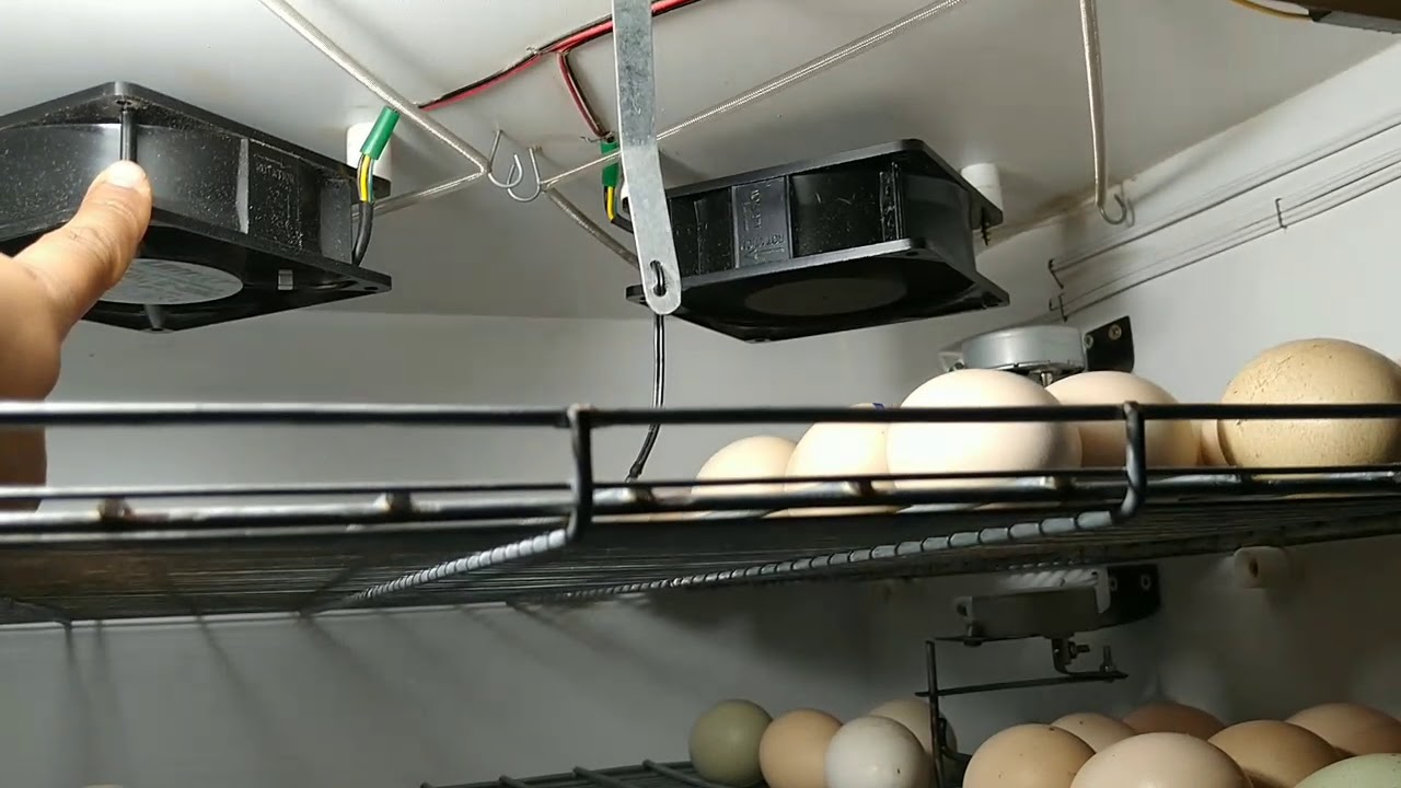 A chocadeira que eu uso