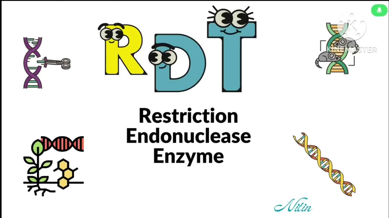 Recombinant DNA Technology | Restriction endonuclease enzyme | CUET pg | IlT JAM