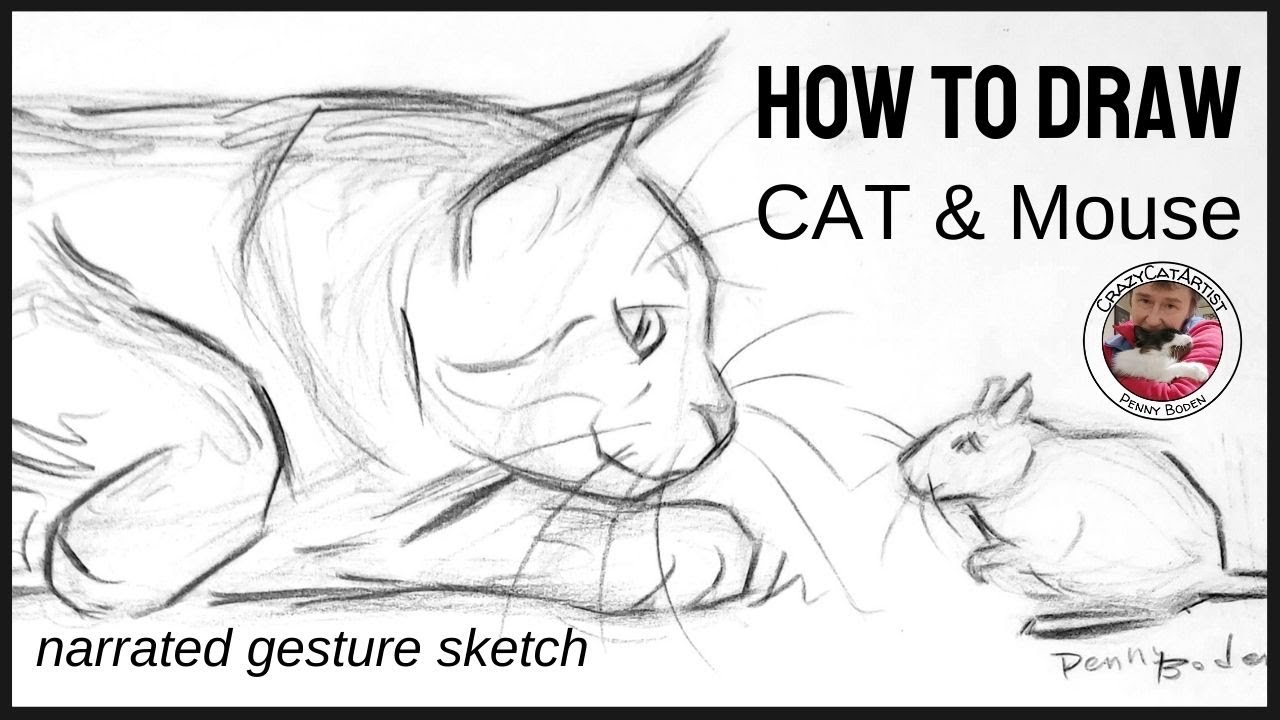 How to Draw a Cat Playing with Mouse or Gerbil, side view crouch, sneaking to hunt, pounce, catch