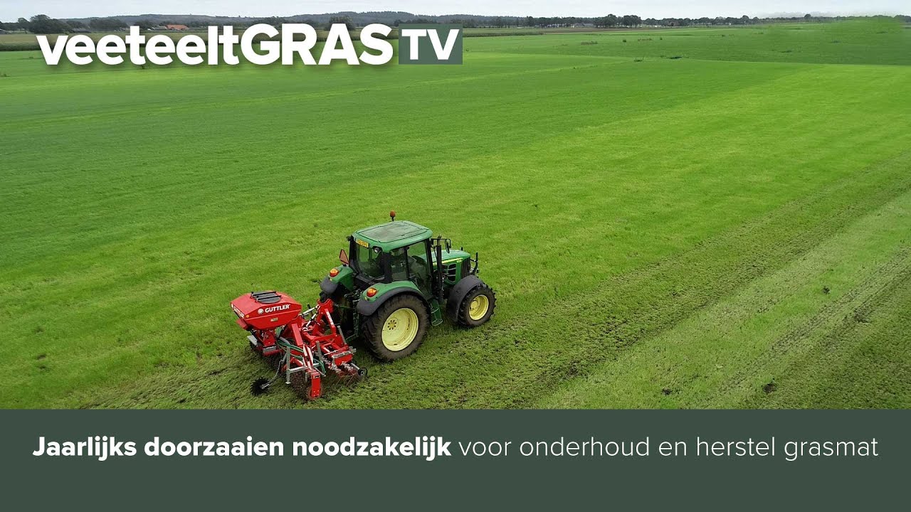 Jaarlijks doorzaaien noodzakelijk voor onderhoed en herstel grasmat