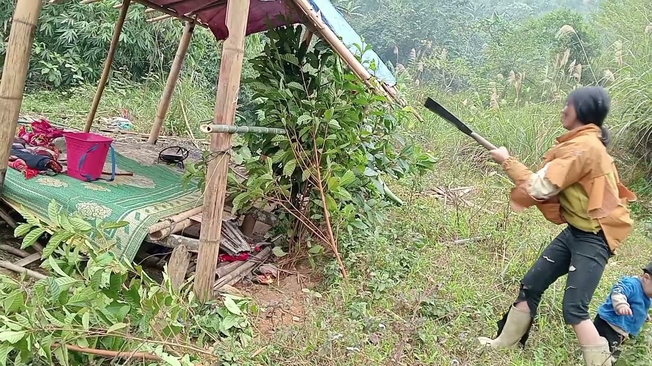 (1.5 year old boy) found delicious food for his mother for the first time. Repair cabin?