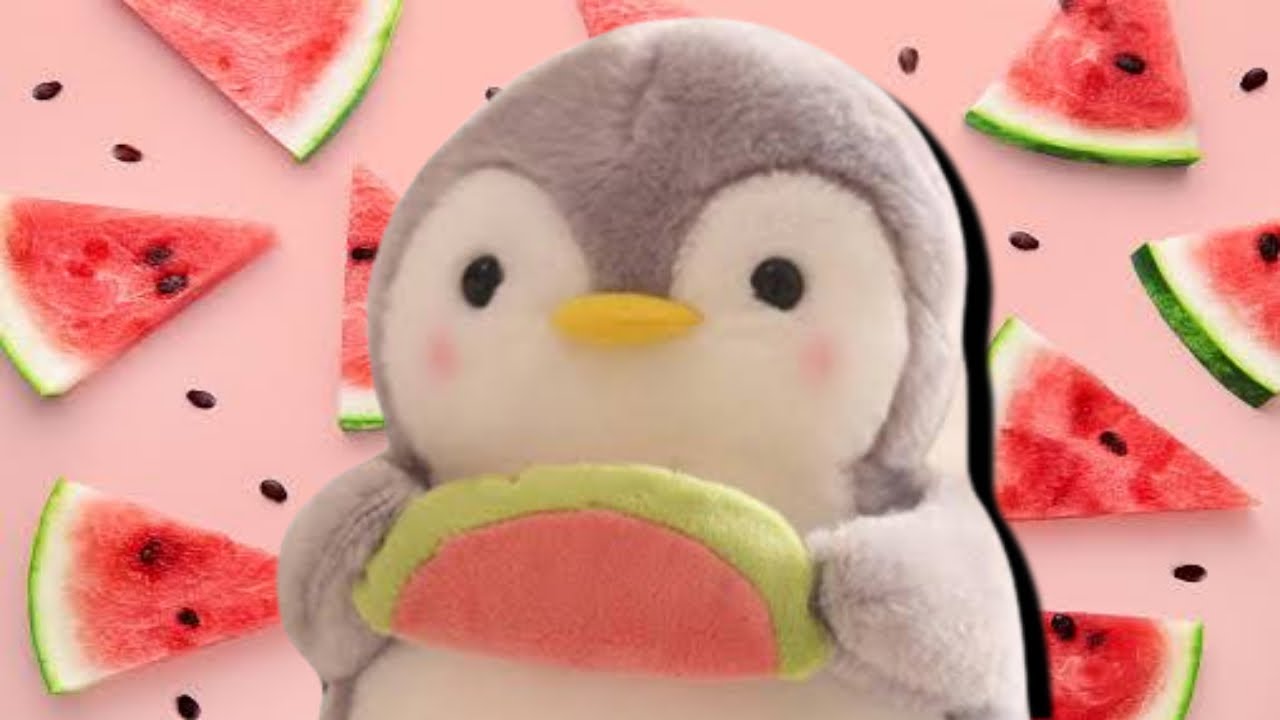 чандия 🍉