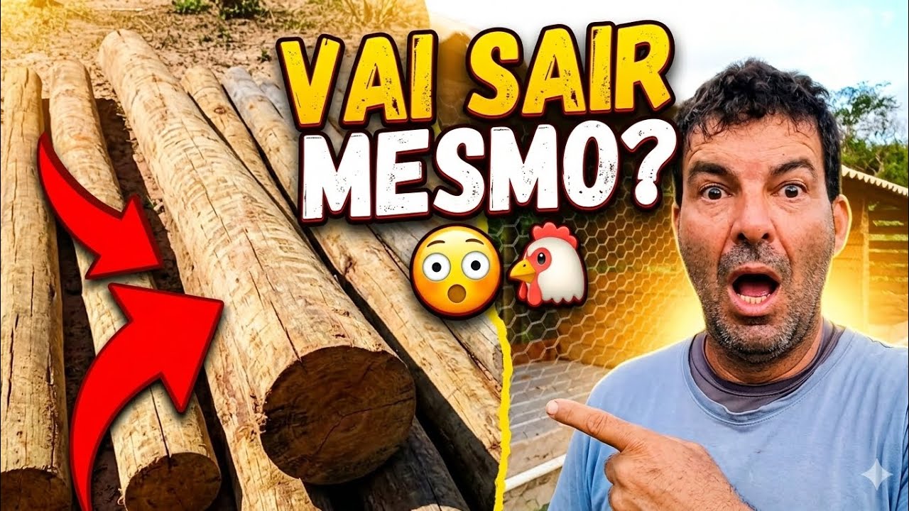 Finalmente Saiu! Primeiro Passo do Nosso Novo Galinheiro! #construindogalinheiro   #vidanosítio