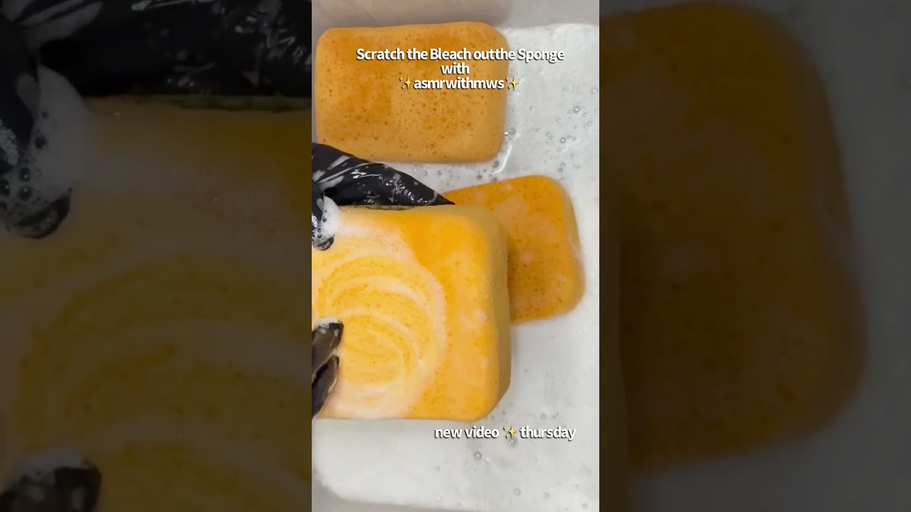 Sponge Scratching Bleach Soaked Sponges | asmrwithmws 🤤