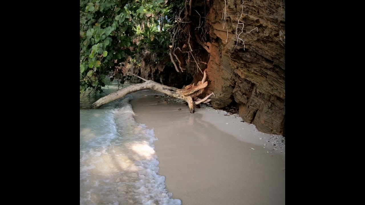 Media Luna Walk-through Roatan Honduras