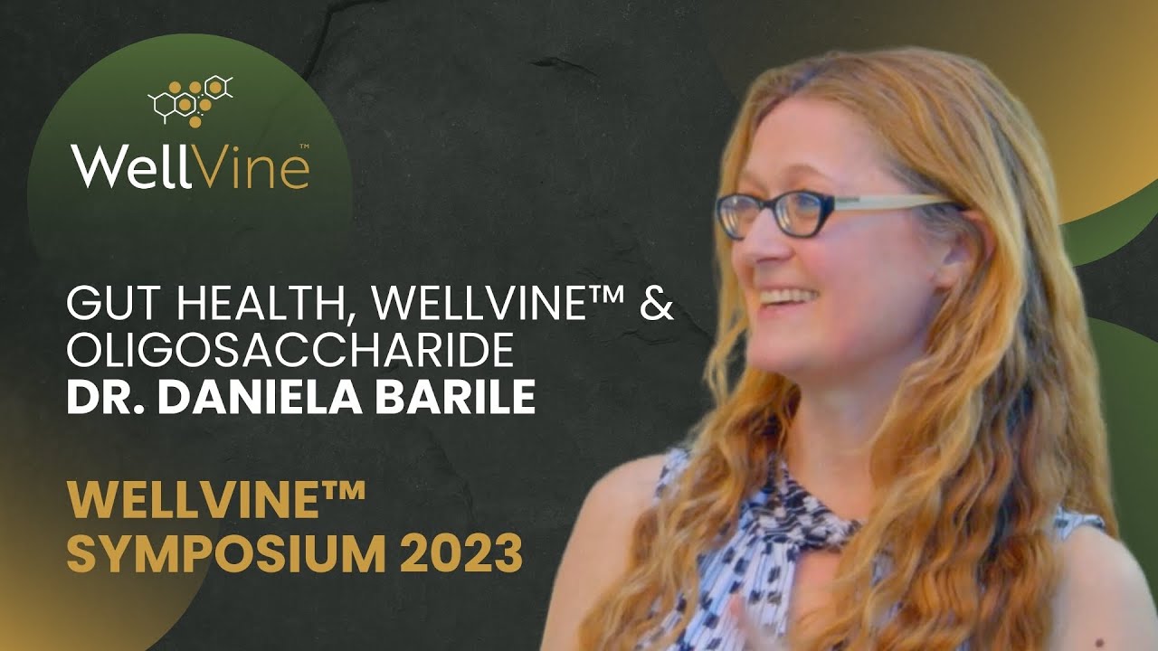 Gut Health, Wellvine&trade;, Oligosaccharides and Chocolate: What&rsquo;s The Connection? | WellVine&trade;