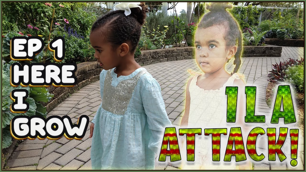 Here I Grow - ILA ATTACK! Ep 1