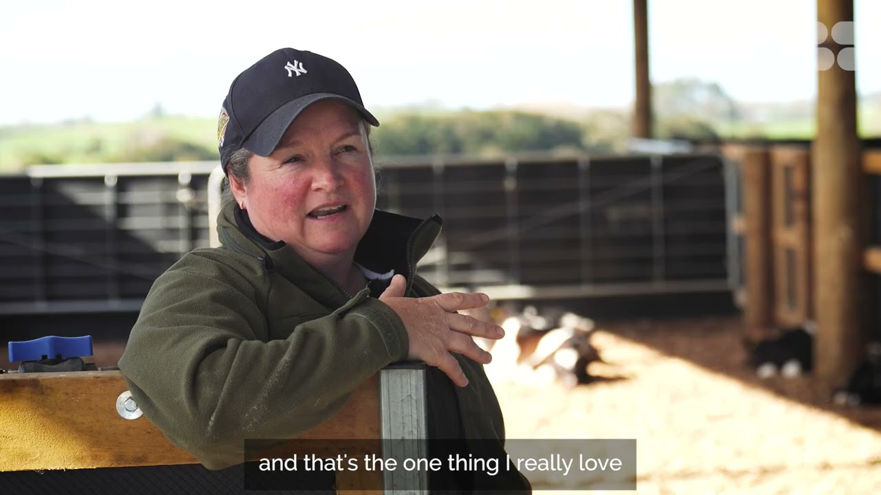 How the CalfExpert Transformed Calf Rearing at Areere Farms