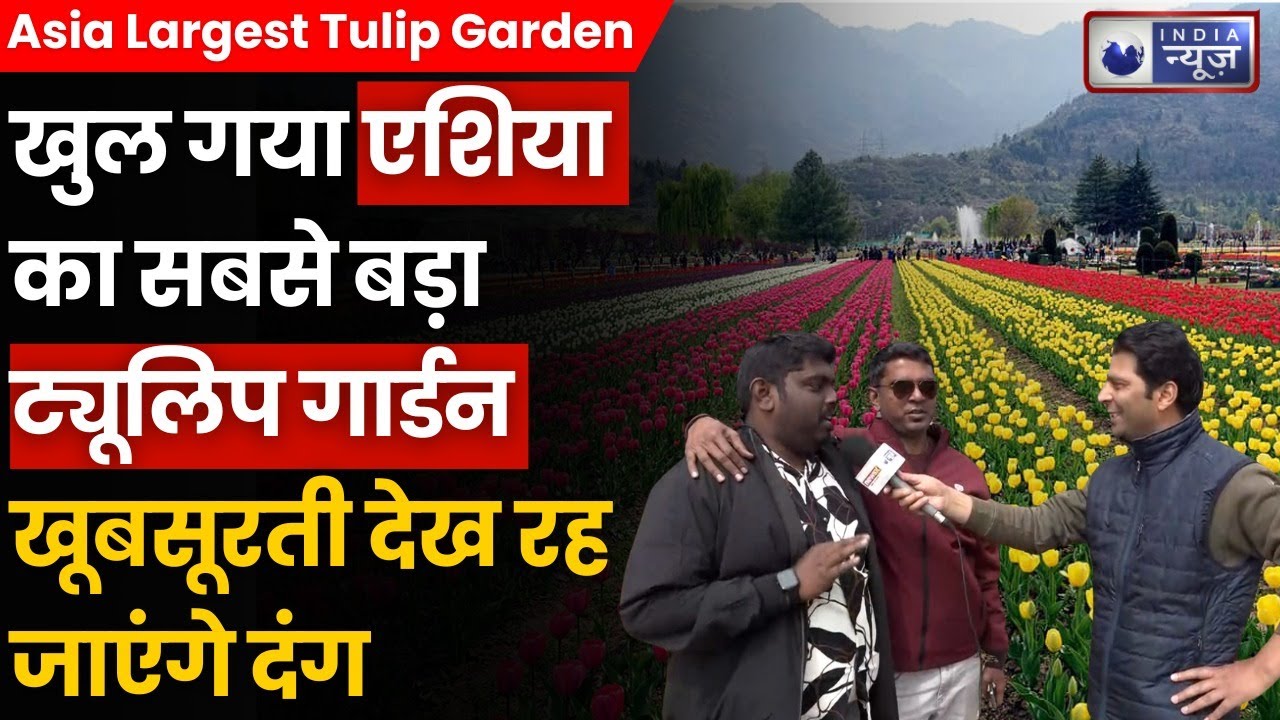 Tulip Garden Kashmir: 17 लाख ट्यूलिप के फूल..पर्यटकों से भरा Asia का सबसे बड़ा ट्यूलिप गार्डन। J&K
