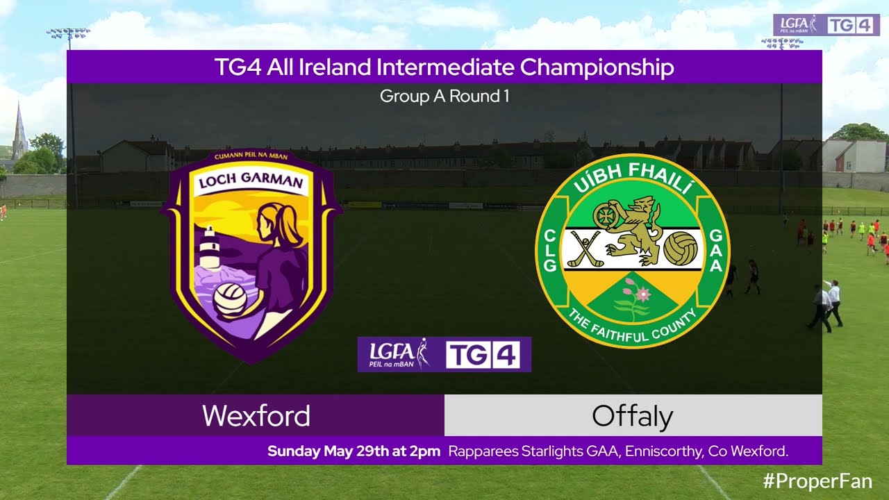 2022 05/29 Wexford v Offaly - TG4 Intermediate Championship Group A Round 1