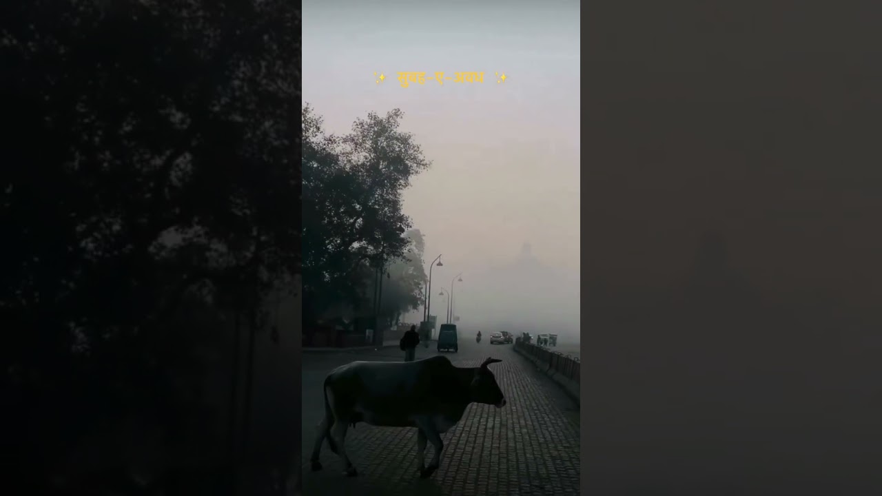 🇮🇳⚔️Gaav Up lucknow ⚔️🇮🇳