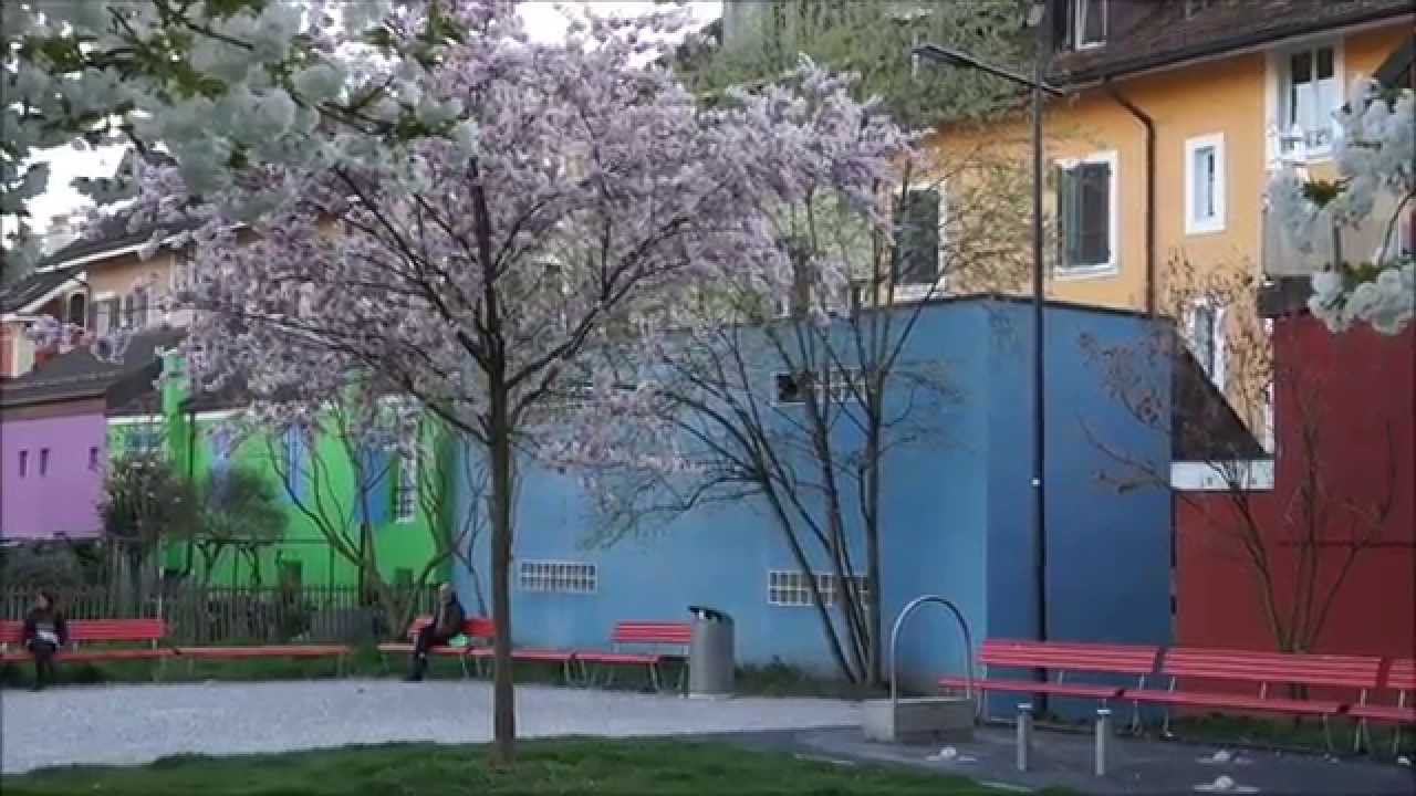 Maisons en couleurs - Rue Neuve - Renens