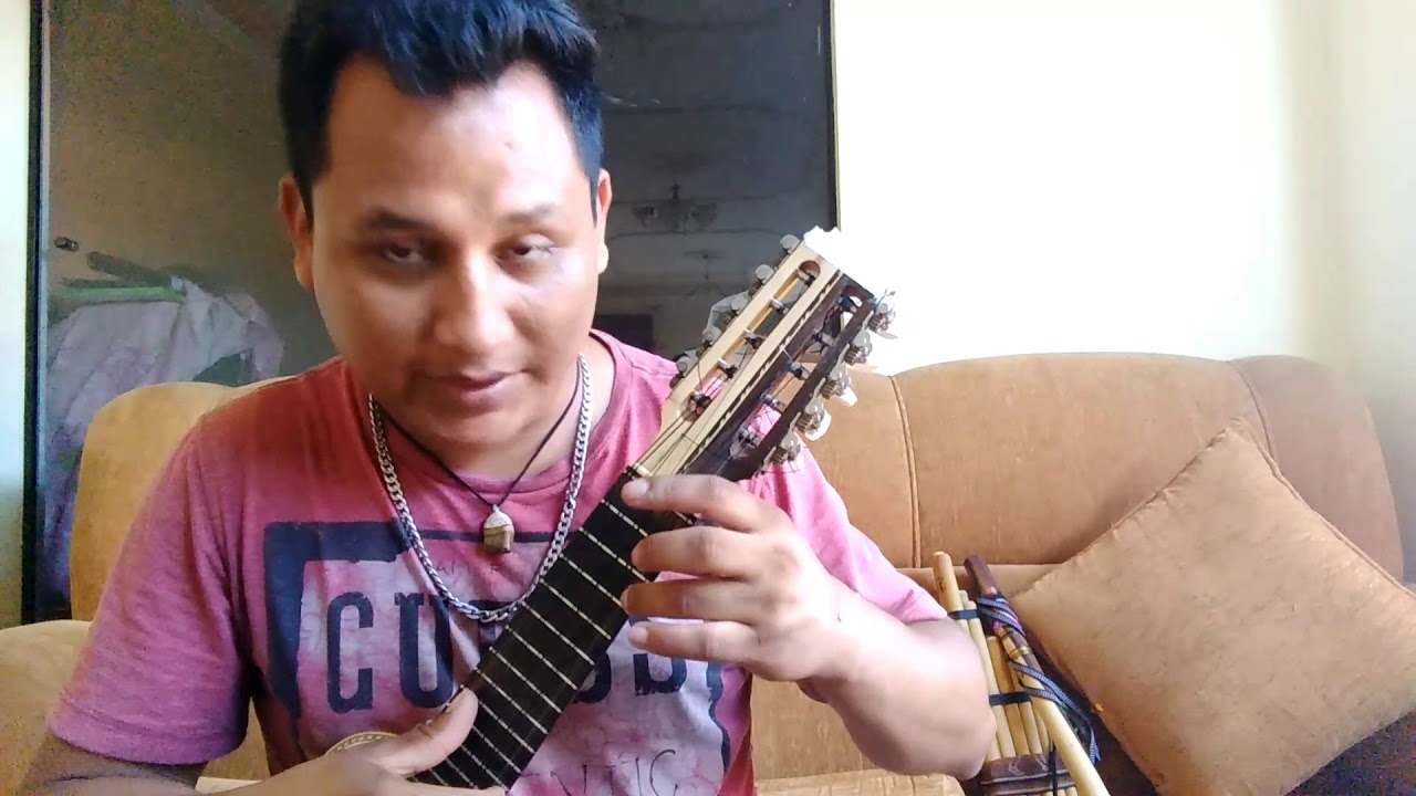 A los bosques en charango