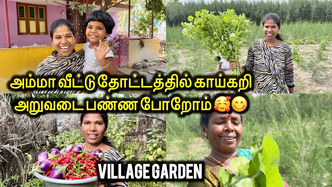  அம்மா வீட்டு தோட்டத்தில் காய்கறி அறுவடை பண்ண போறோம் 🥰 | Sangeetha Vinoth | #villagevlog