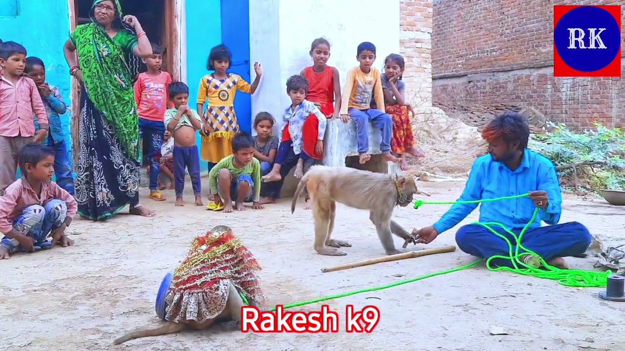 #Madarikakhel /jado ka khel/bandar ka khel #Rakeshk9 vilog # बंदरबंदरियाकाखेल
