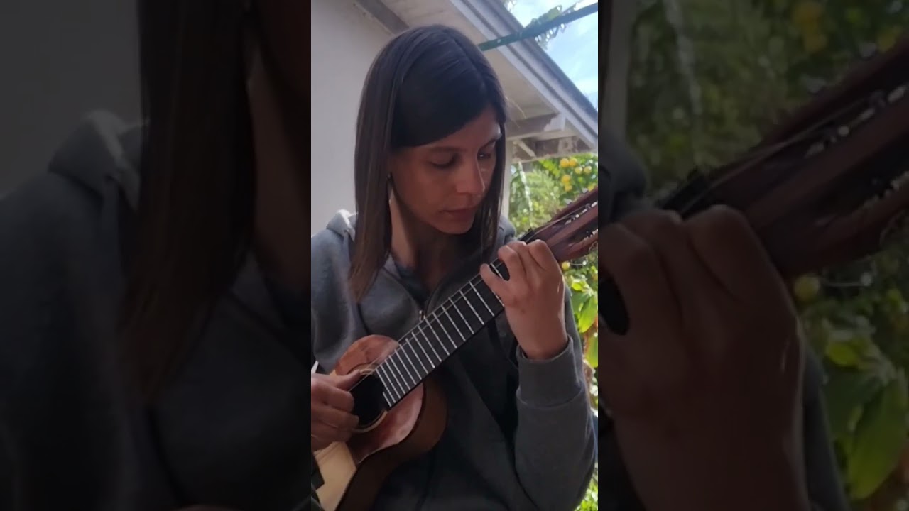 Probando mi nuevo Hatun charango #charango #hatuncharango #hatun # folkloreargentino