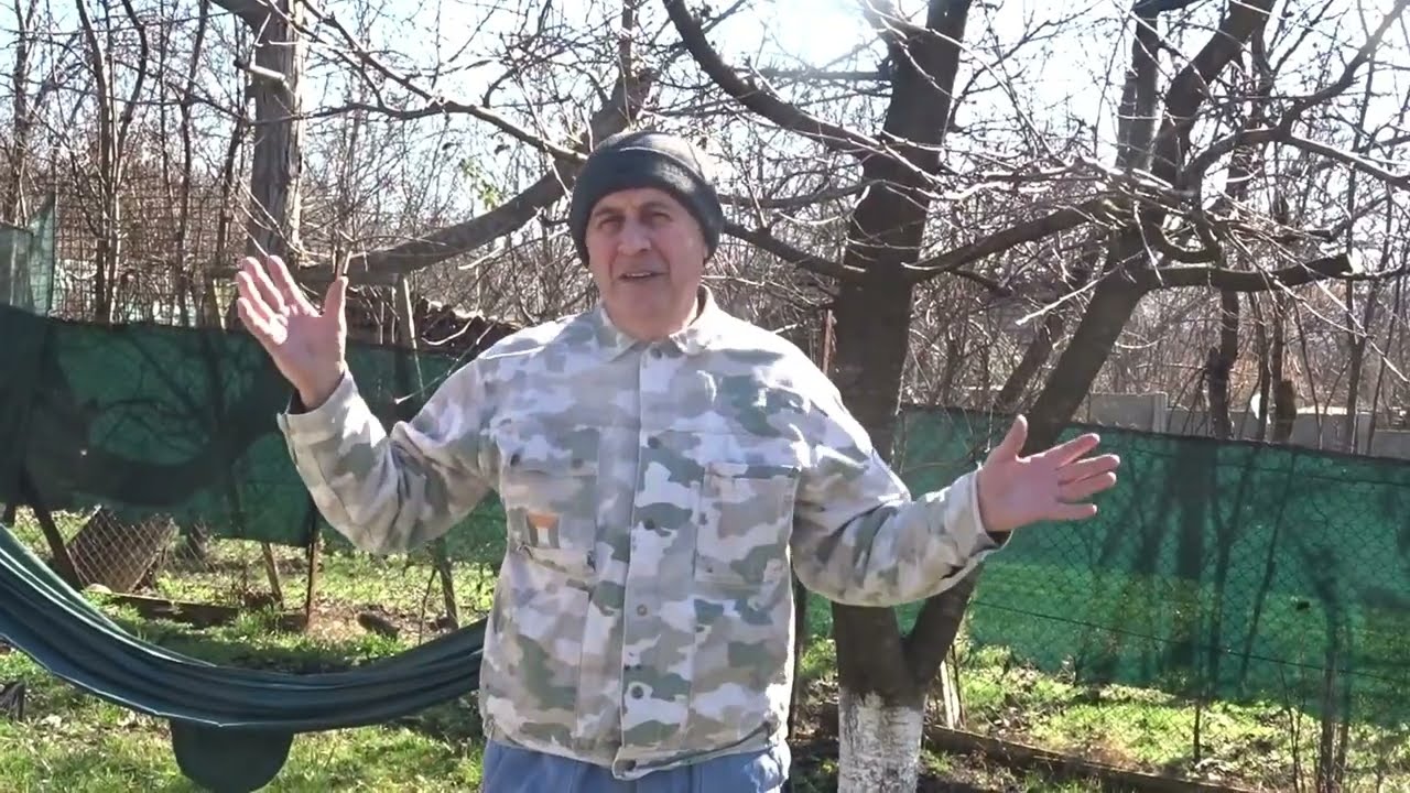 De ce NU mai combin uleiul horticol cu fungicid/Un experiment important