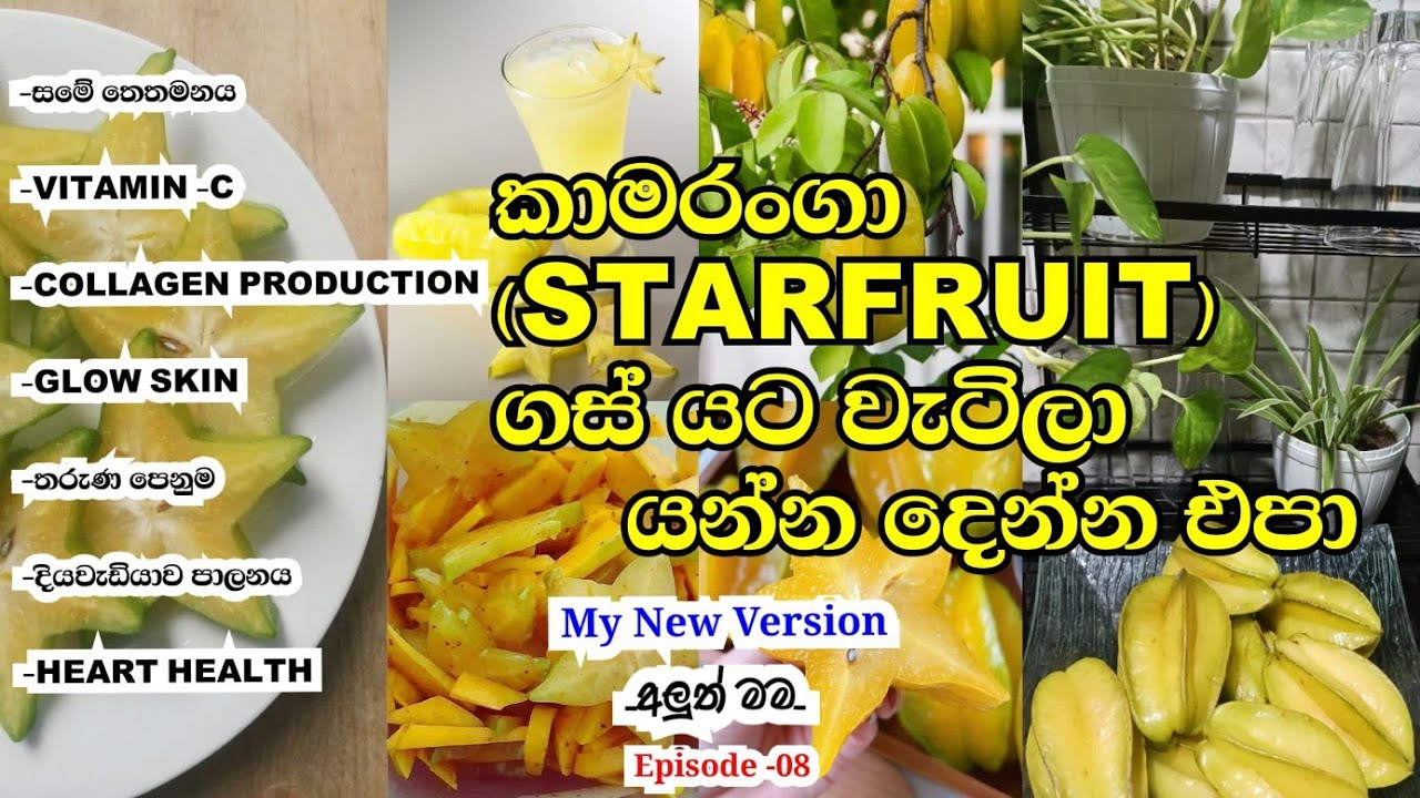 උයන ගමන් ඉංග්‍රීසි කතා කරන්න ඉගෙන ගමු.🤗My New Version _අලුත් මම_ Episode -08 @Livingwithhighvibes