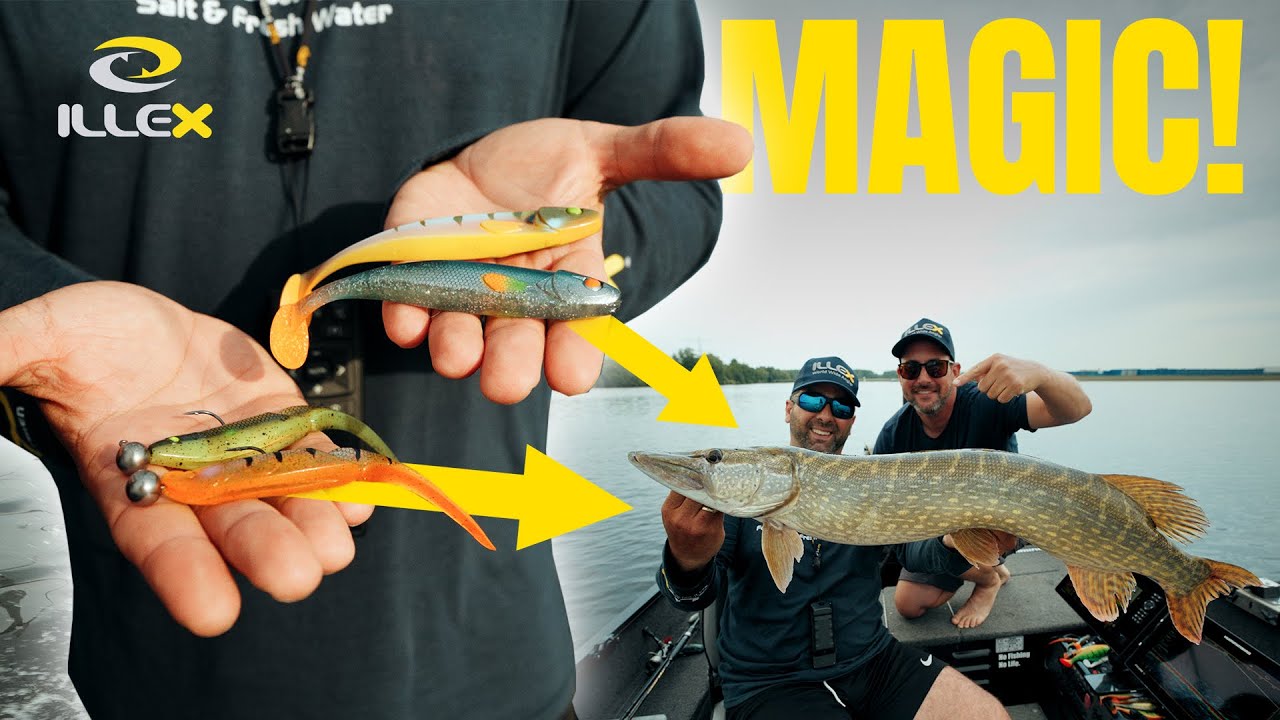 ILLEX Magic-Serie! Fast schon Hexerei wie gut die fangen!