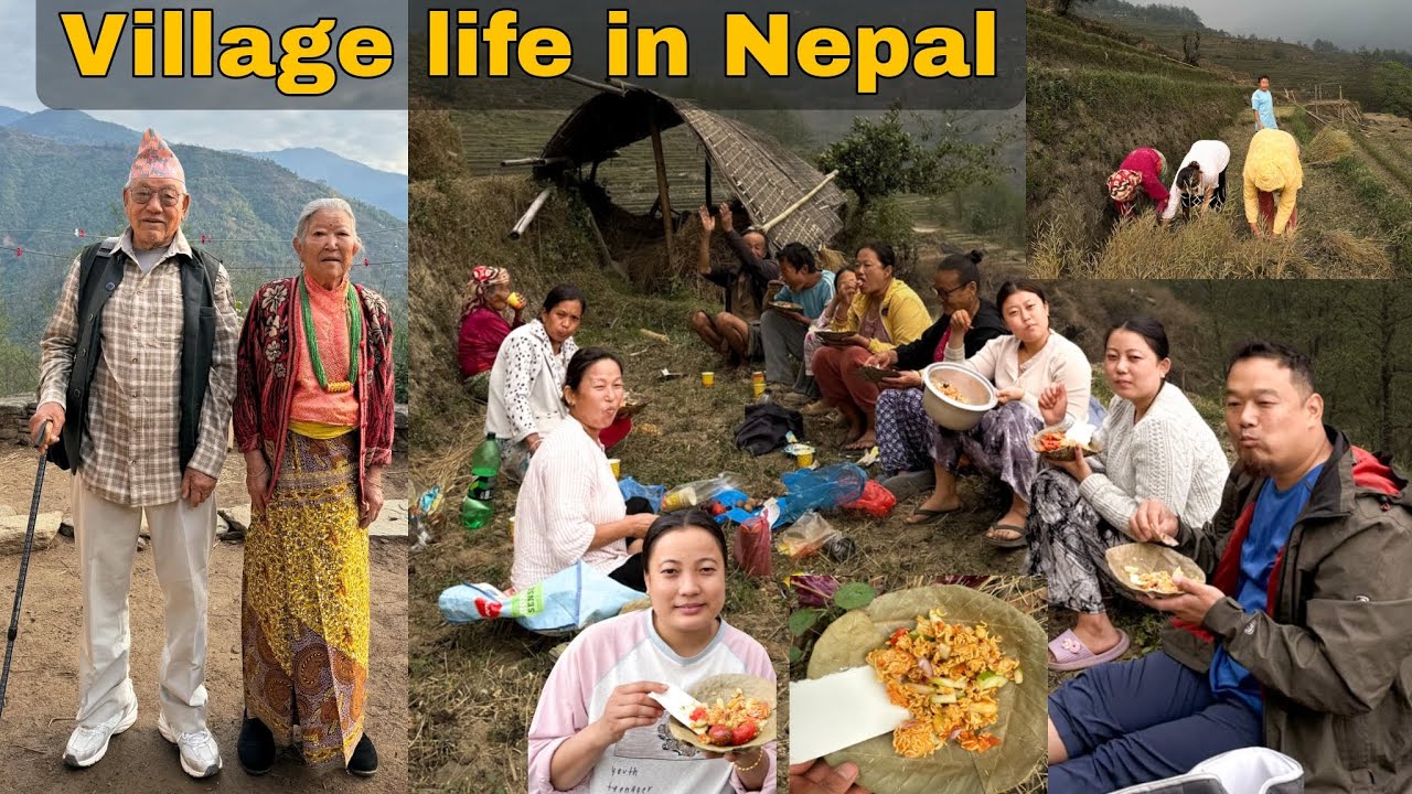 Village life in Nepal #gaughar ma kam suru vayo hai sathi haru🙏🙏#villagevlog #rurallife