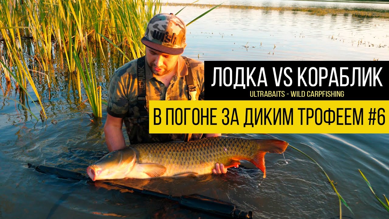 В погоне за диким трофеем #6. БАТТЛ - Лодка vs Кораблик. Ловля карпа на диком водоеме.