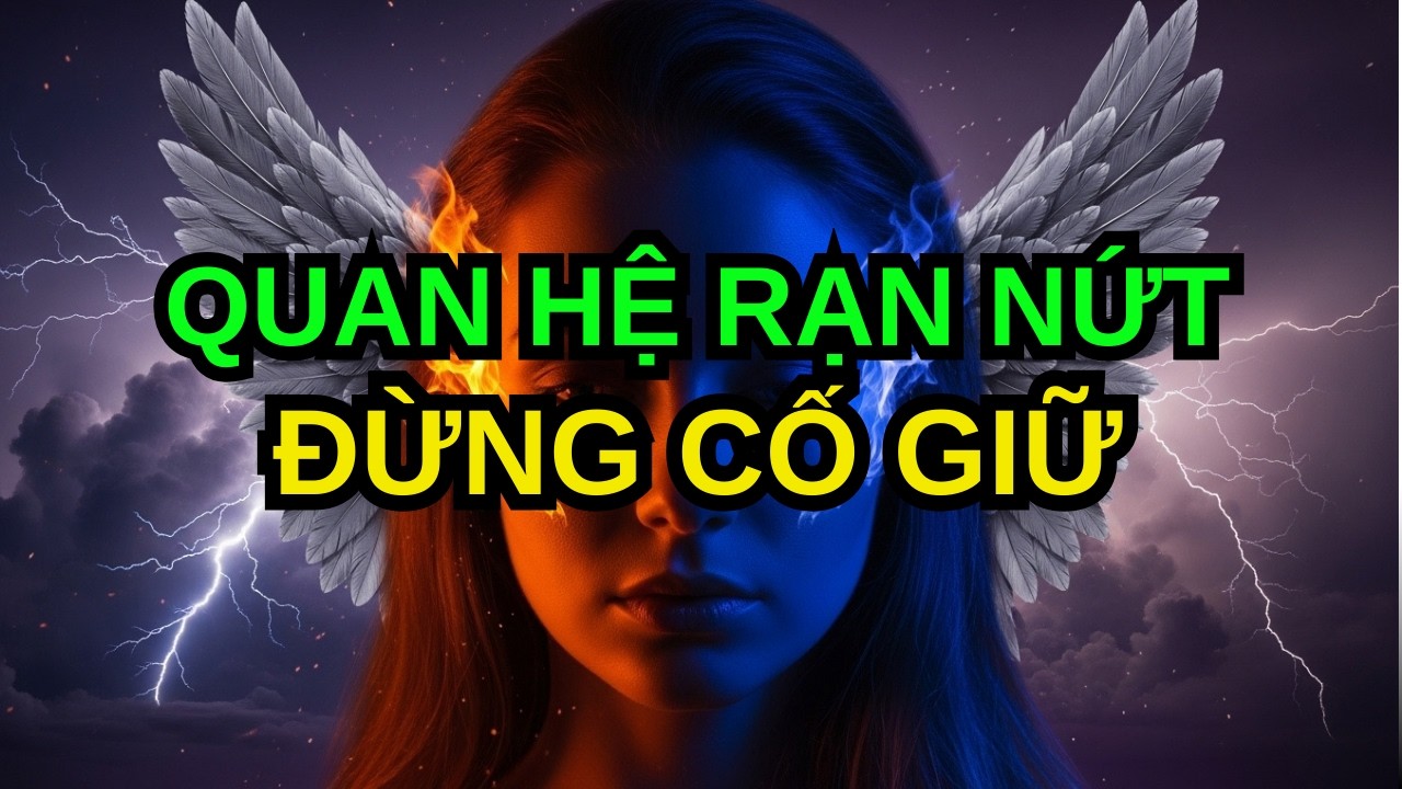 NGƯỜI ĐƯỢC CHỌN: TẠI SAO MỐI QUAN HỆ CỦA BẠN LUÔN RẠN – VÀ ĐÂY KHÔNG PHẢI LỖI CỦA BẠN