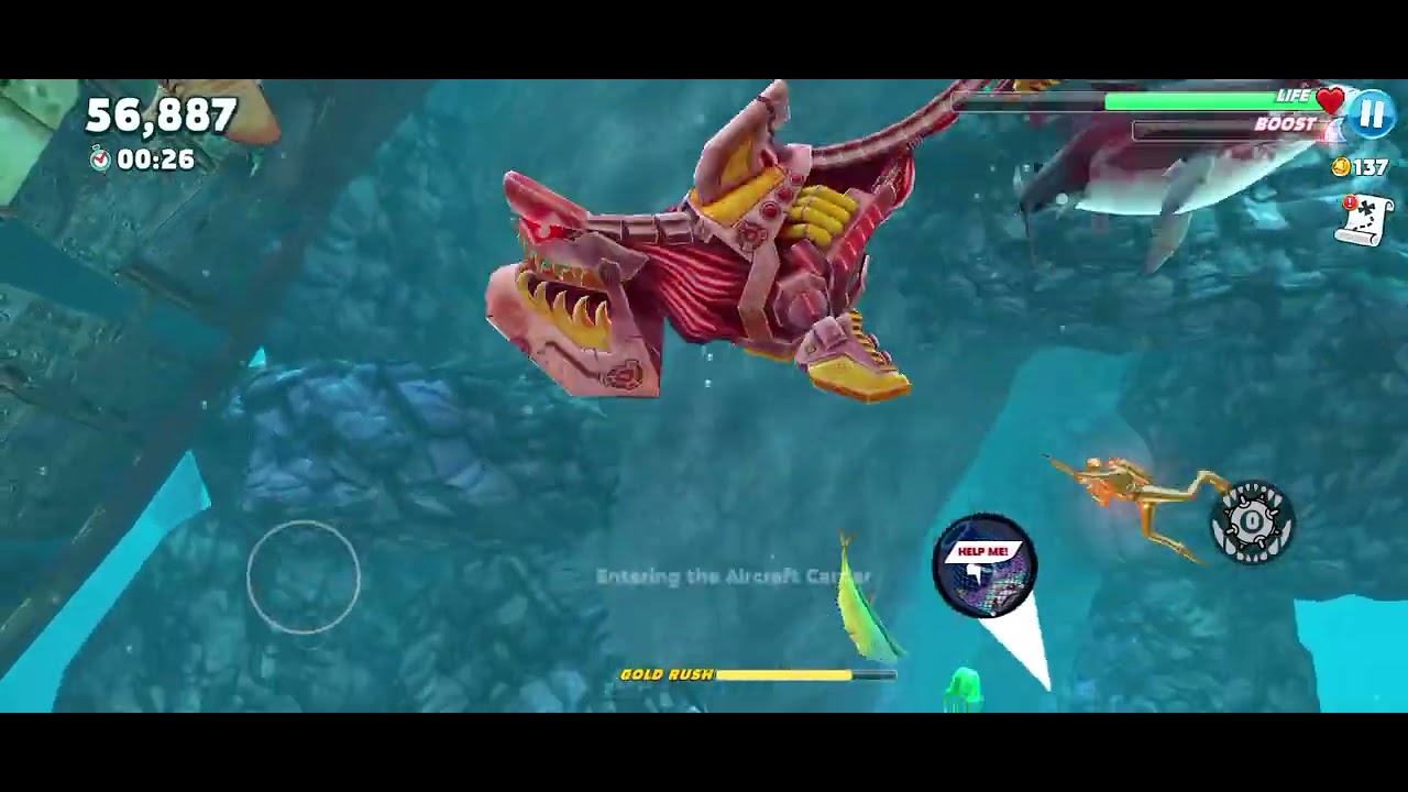 Shark
