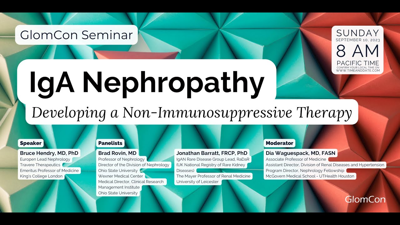IgA Nephropathy: Developing a Non-Immunosuppressive Therapy