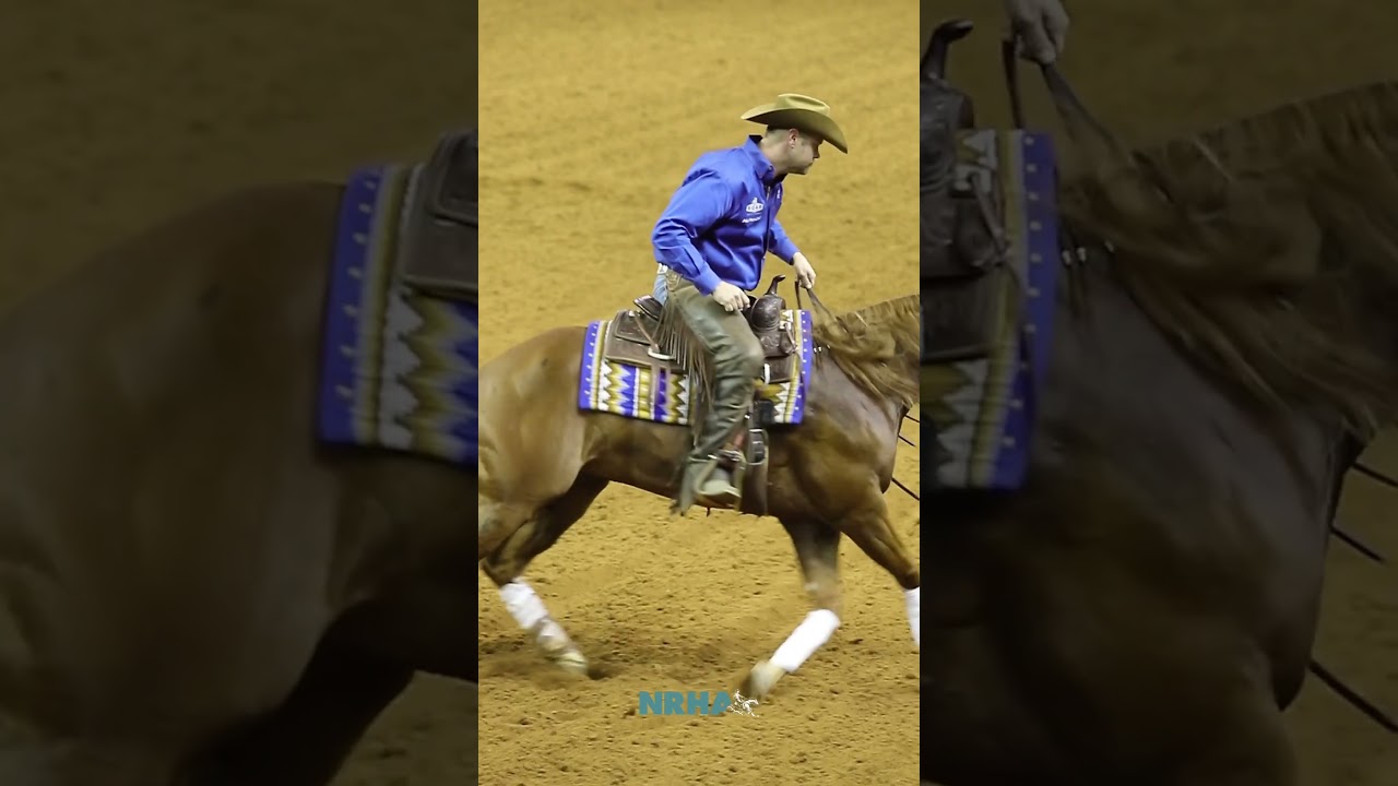 NRHA Maneuvers: Rollbacks
