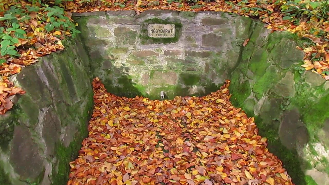 2019 11 18  Négybarát-forrás