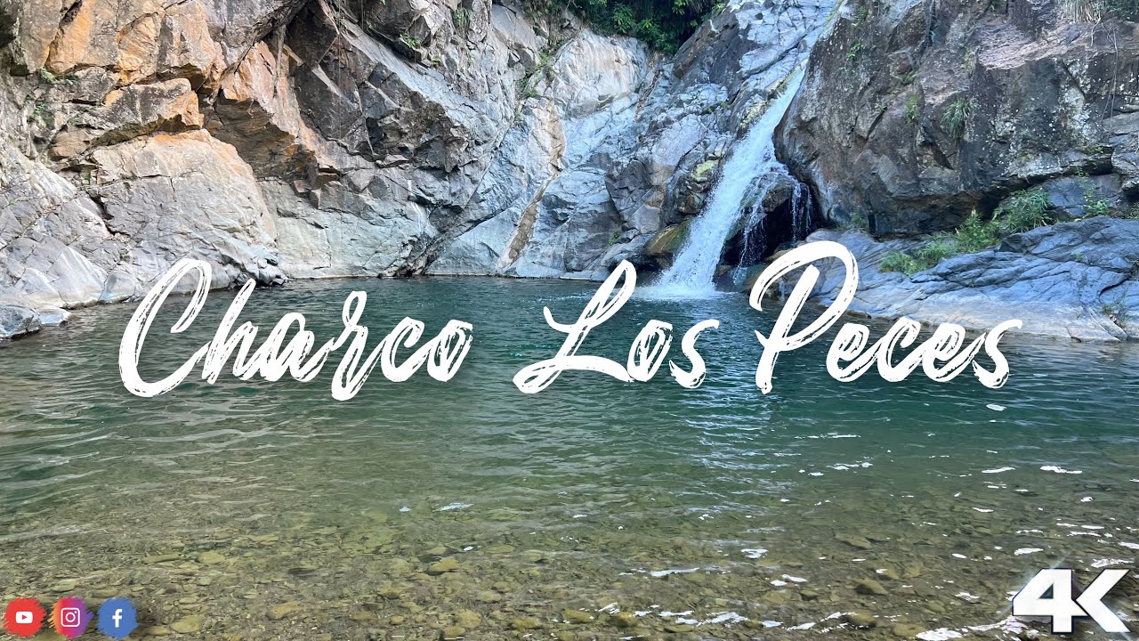 Charco Los Peces | Guayanillla Puerto Rico🇵🇷