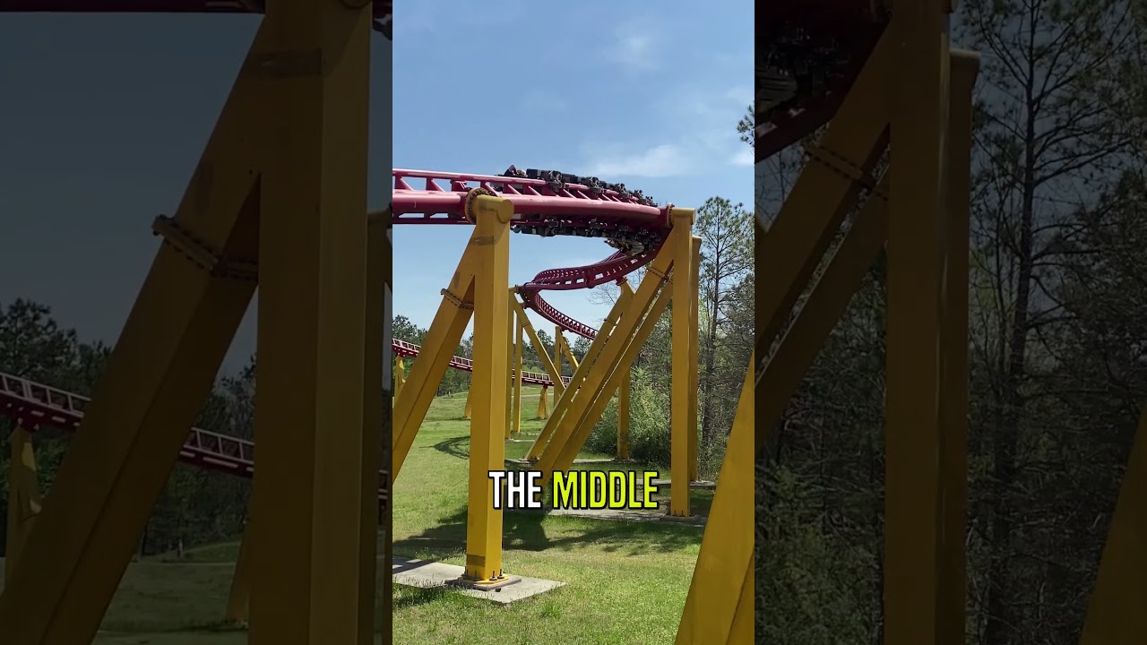 🚨 Don't make this mistake at theme parks! 🎡