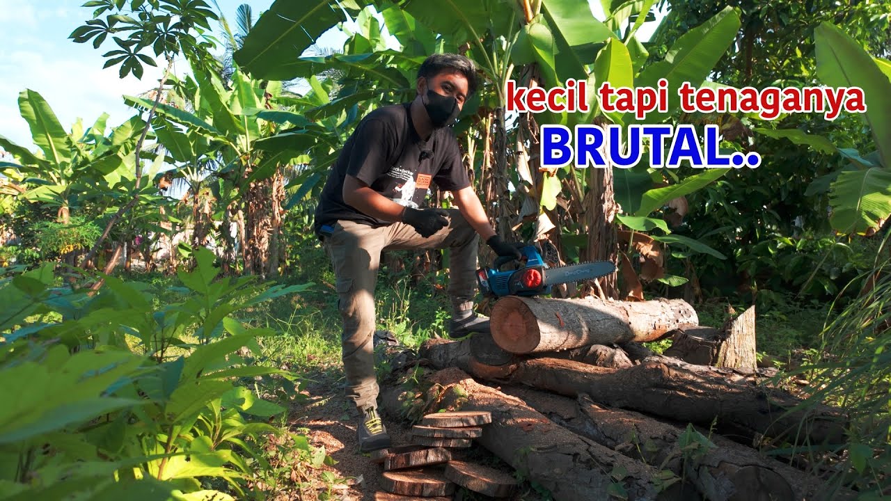 Akhirnya DongCheng masukin alat ini.. DONGCHENG DCCS20101 BM CORDLESS BRUSHLESS 20V CHAINSAW 16