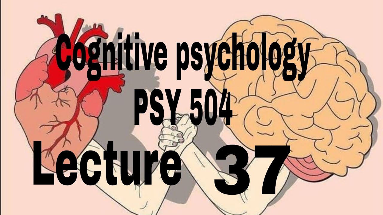 Psy504 short lecture 37 //Psychology hub //Cognitive psychology