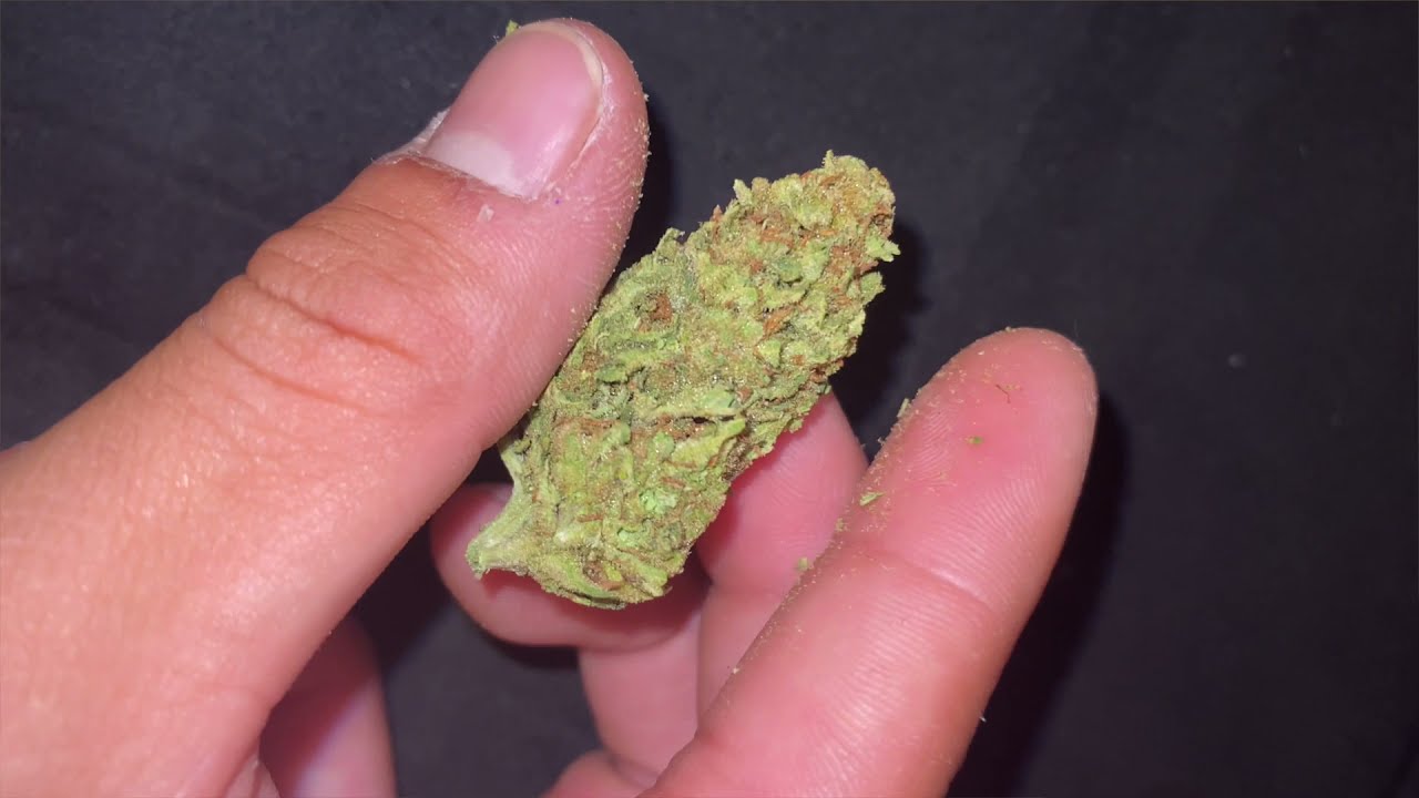 Weed Review, Cinderella 99 by Henry's Original