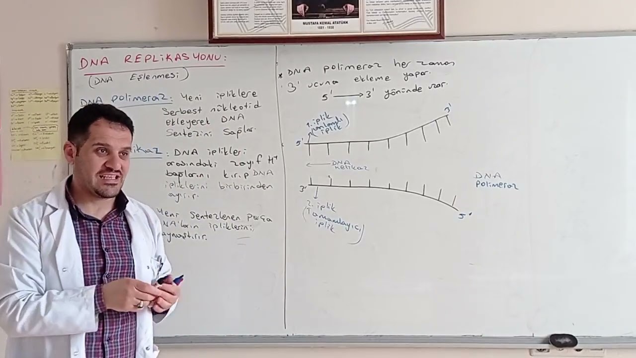 DNA replikasyonu(eşlenme)