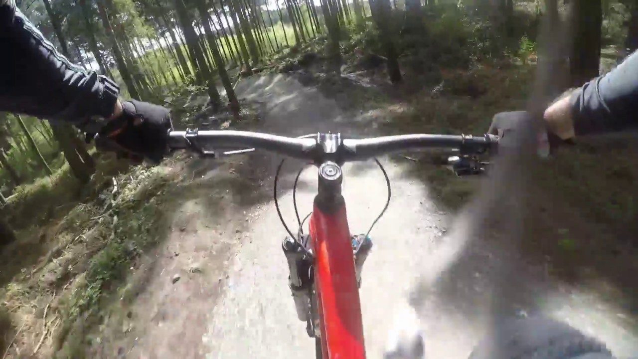 Delamere Forest MTB with Primrose Hill and Manley Skils