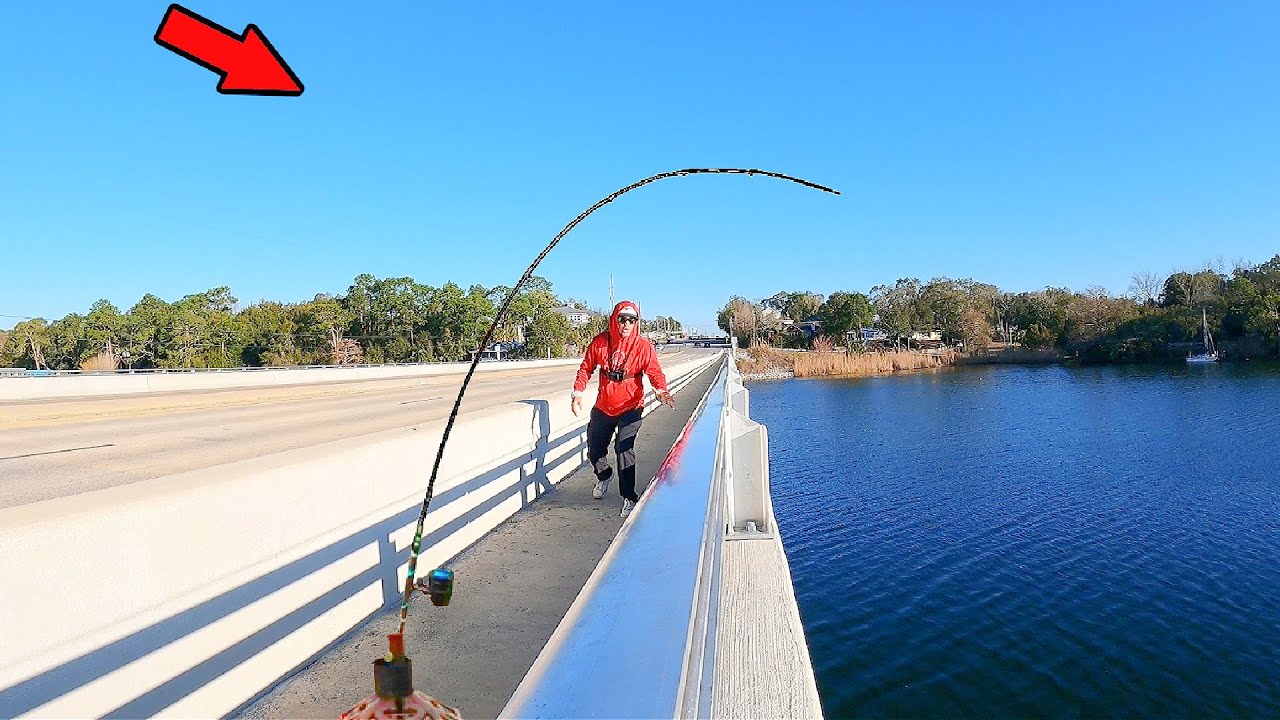 Fishing a Florida Bridge When Things Got Wild!