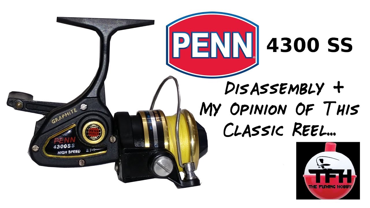 Penn 4300SS: Disassembly, Review, Tips