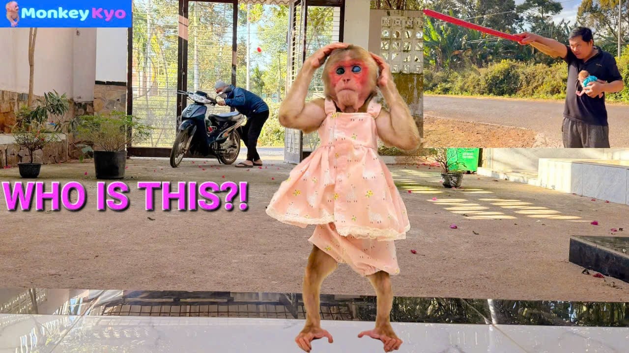 Dad Was Shocked&hellip; 😱 What Did Kyo Discover in the House!