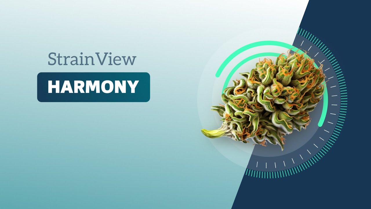 Harmony - Strainview