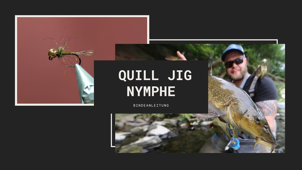 FFN Pro Shop - Quill Jig Nymphe Bindeanleitung