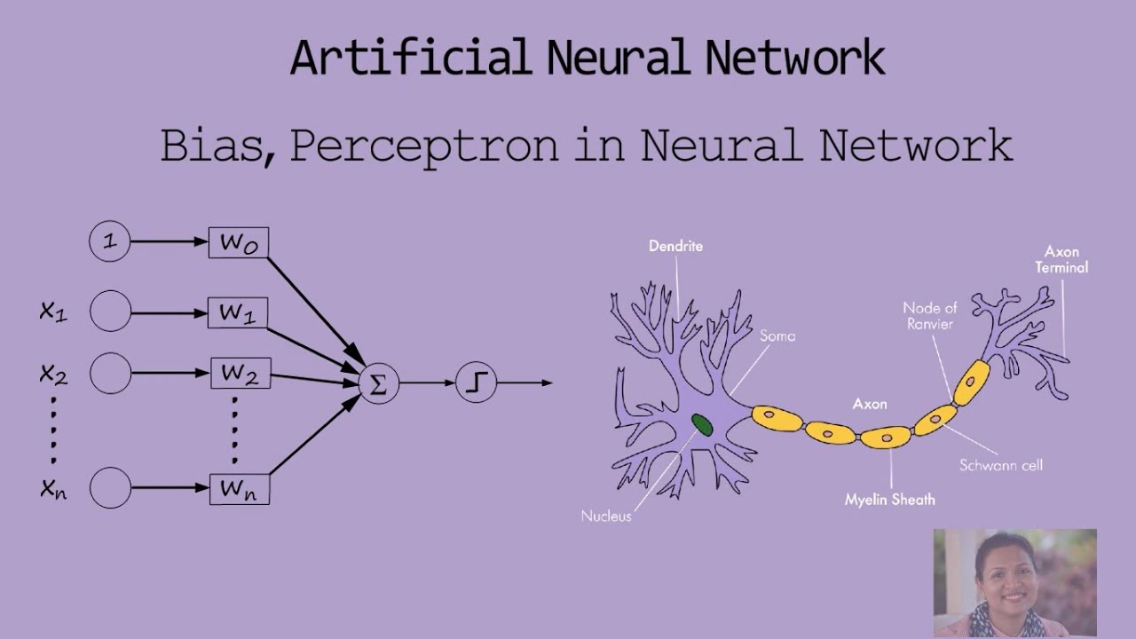 Introduction to Artificial Neural Networks & Bias