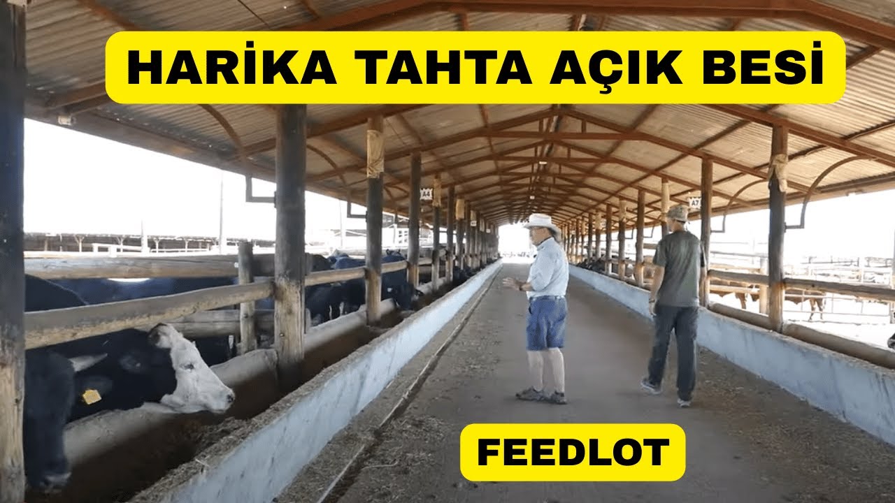 Bu Besi Çiftliğinin TAHTA Yapısı Sizi Şaşırtacak!