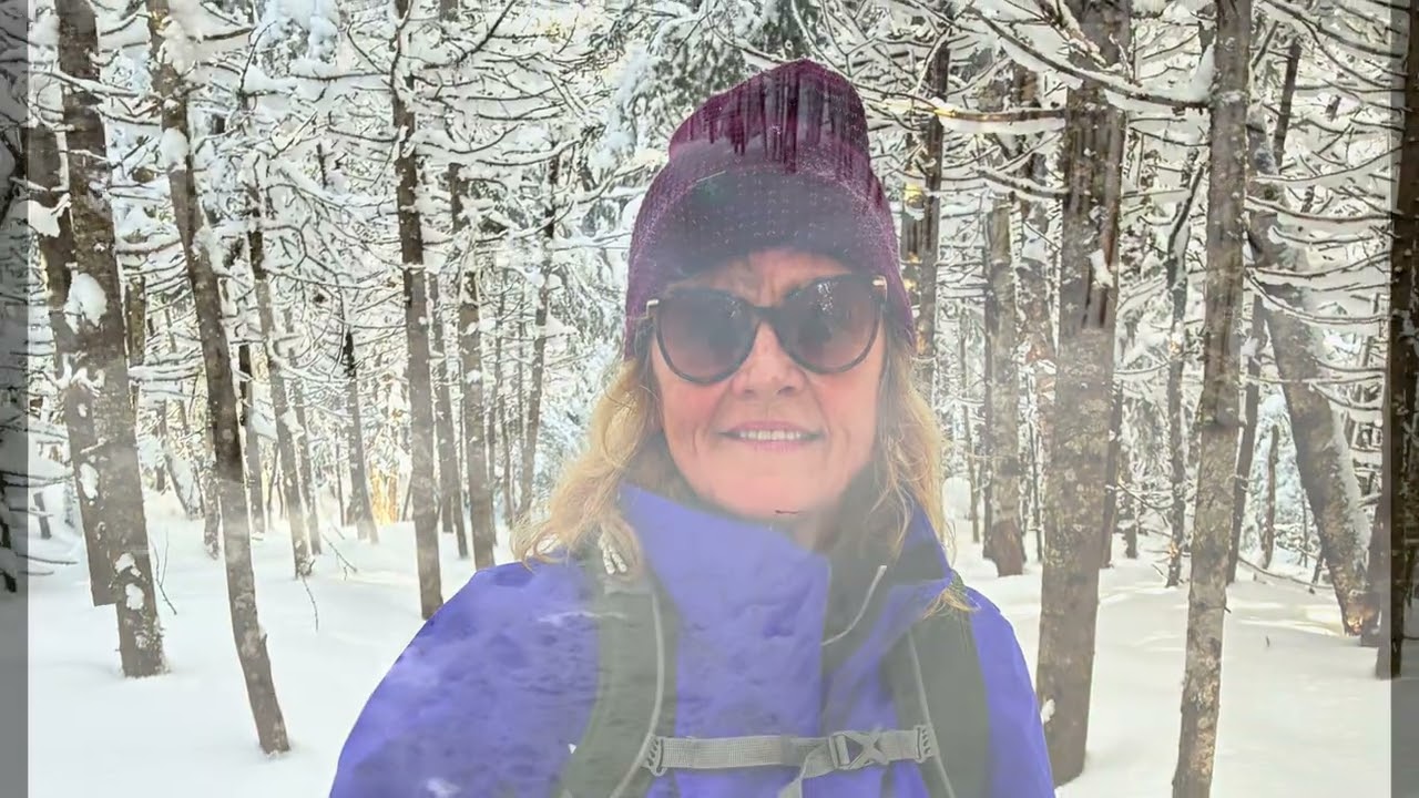 NH sleigh ride then Mt Willard hike 🌲#hiking #mountains #4k #nh #nature 