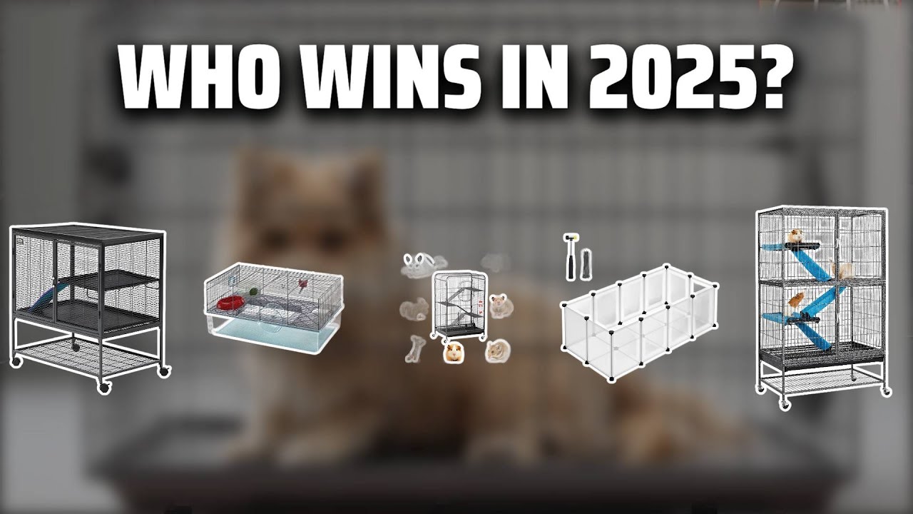 The Top 5 Best Rodent Cage in 2025 - Must Watch Before Buying!