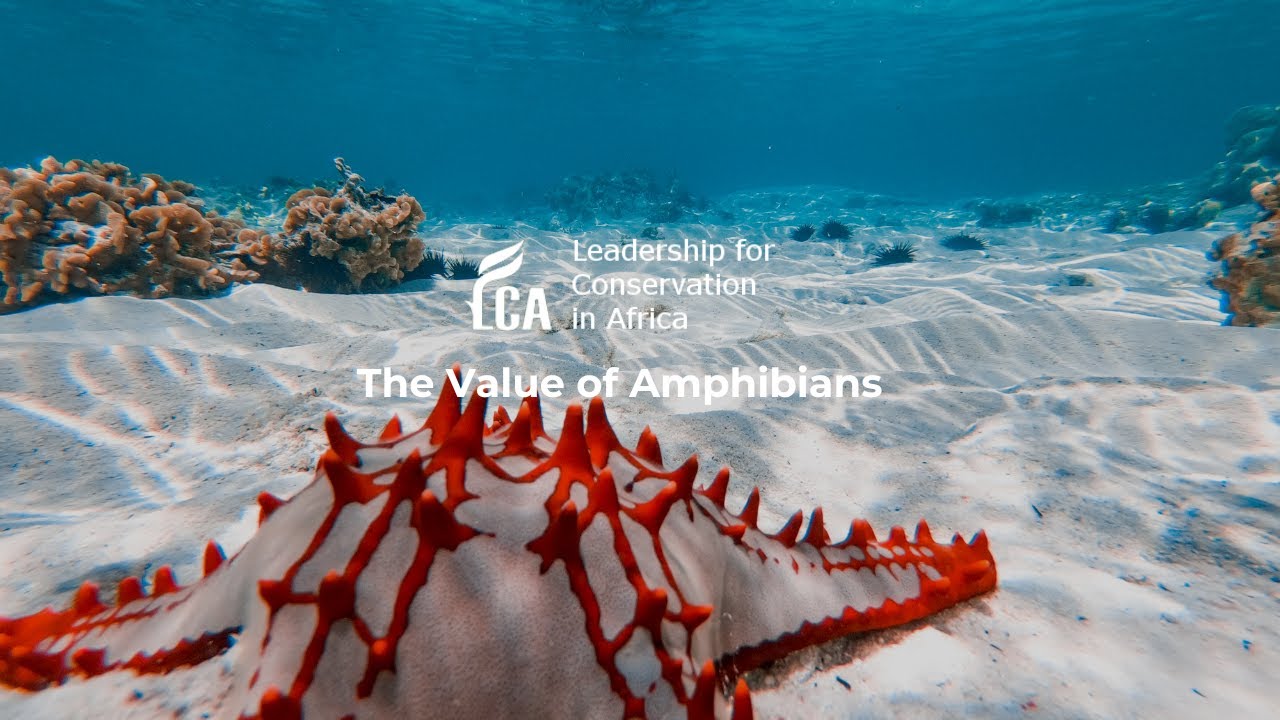 The Ocean Speaks: Stories of Wonder, Urgency, and Hope