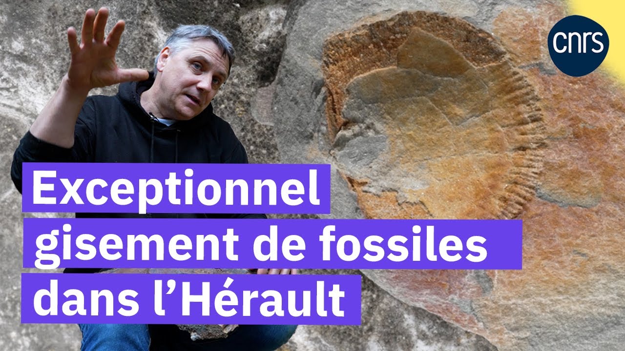 Sur la piste des fossiles rares | Reportage CNRS