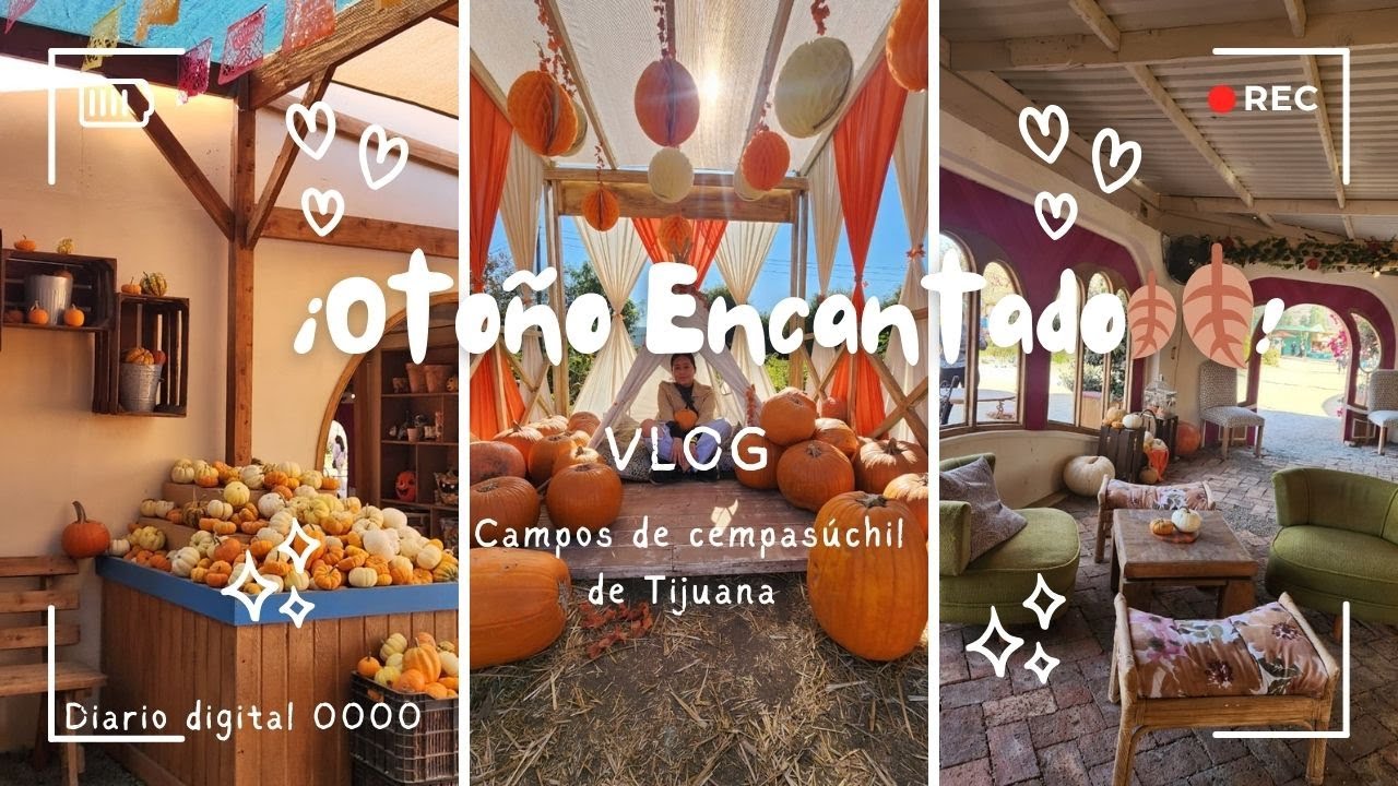 VLOG DE OTOÑO 🍂 | CAMPOS DE CEMPASÚCHIL 🌼 | TOUR, FOTOS Y MOMENTOS BONITOS ✨